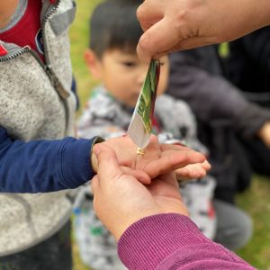 home_about_us Viraj Lakshman Desilva